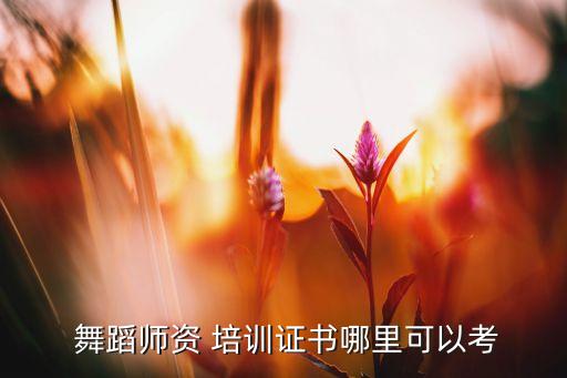 舞蹈老师培训考证,中国舞蹈学院考生需通过舞蹈教师资格证考试