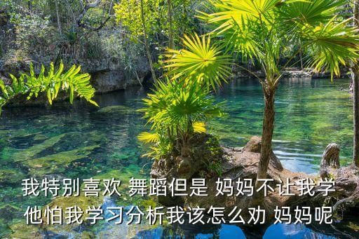 我特别喜欢 舞蹈但是 妈妈不让我学他怕我学习分析我该怎么劝 妈妈呢