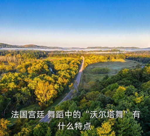  法国宫廷 舞蹈中的“沃尔塔舞”有什么特点