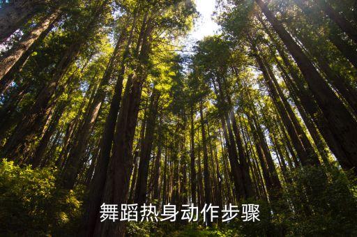  舞蹈热身动作步骤
