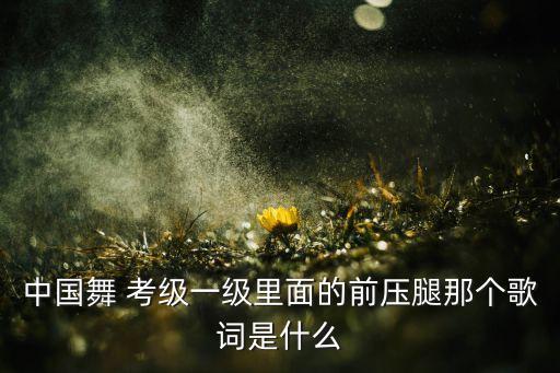 中国舞 考级一级里面的前压腿那个歌词是什么