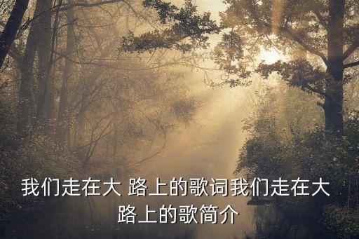 我们走在大路上的舞蹈,第二集:我们走在大地方路上