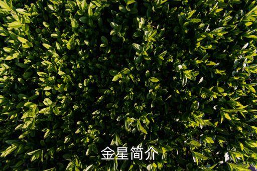  金星简介