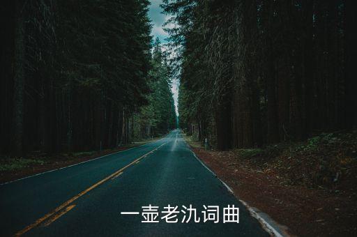 现代舞舞蹈一壶老酒,一壶老酒-g陆树铭演唱歌曲