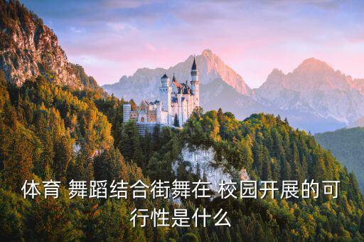 体育 舞蹈结合街舞在 校园开展的可行性是什么