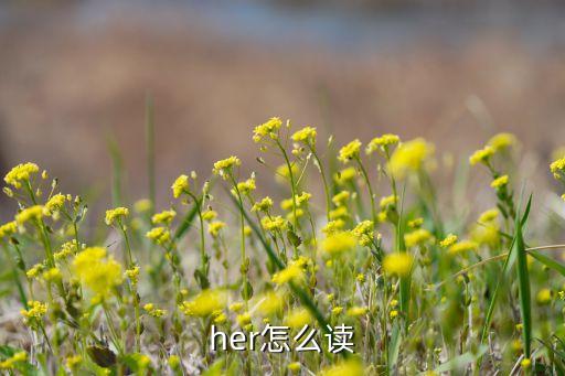 her怎么读