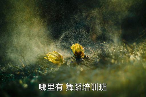 哪里有 舞蹈培训班