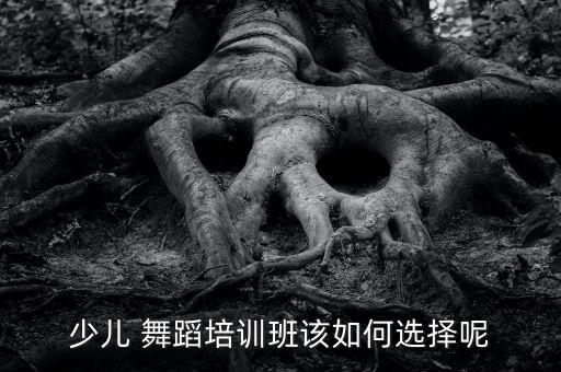 少儿 舞蹈培训班该如何选择呢