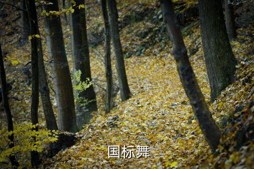 国标舞属于舞蹈表演吗,高考舞蹈课程包括:国标舞蹈和民族舞