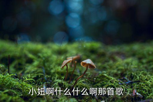 小妞啊什么什么啊那首歌