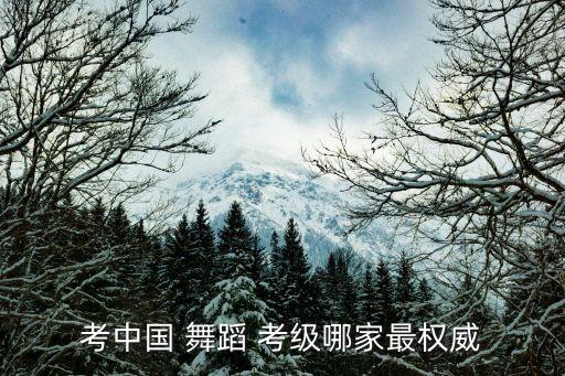 一般舞蹈考级去哪里考,北舞对中国舞蹈等级考试还是比较认可的