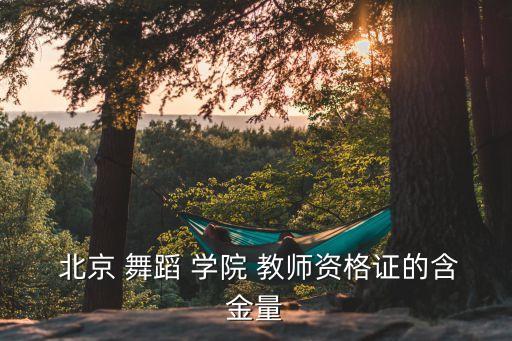  北京 舞蹈 学院 教师资格证的含金量