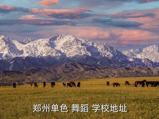  郑州单色 舞蹈 学校地址