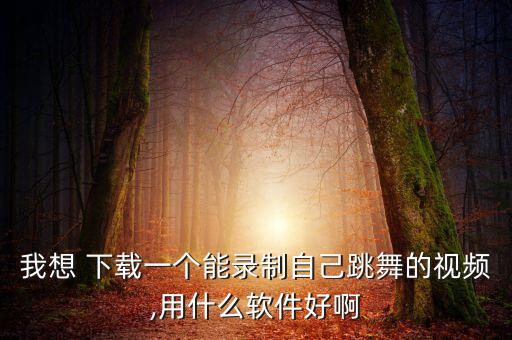 我想 下载一个能录制自己跳舞的视频,用什么软件好啊