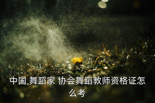 舞蹈家协会如何报名,中国舞蹈学院少儿考级报名须提交免冠照