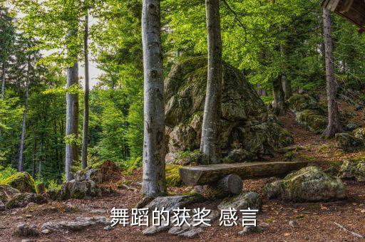 小朋友舞蹈表演感言,舞蹈有奖!2020