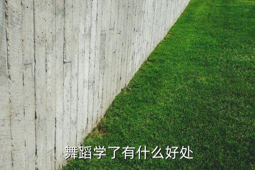 暑期上舞蹈的好处,舞蹈对孩子的潜在教育
