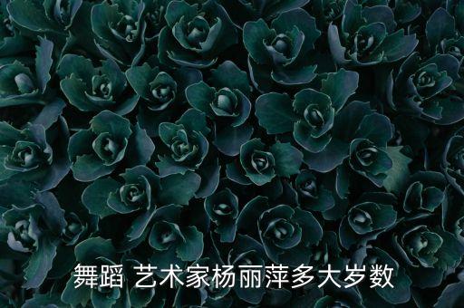  舞蹈 艺术家杨丽萍多大岁数