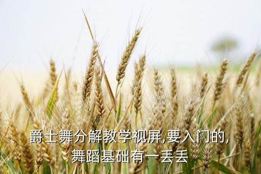  爵士舞分解教学视屏,要入门的, 舞蹈基础有一丢丢