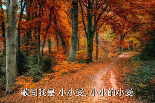 歌词我是 小小受, 小小的小受