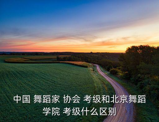 中国 舞蹈家 协会 考级和北京舞蹈学院 考级什么区别