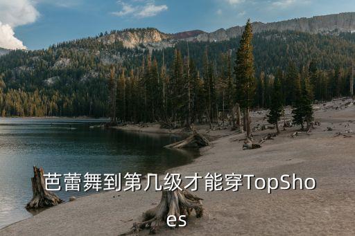  芭蕾舞到第几级才能穿TopShoes
