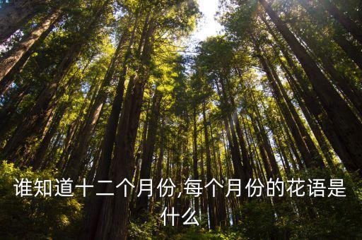 谁知道十二个月份,每个月份的花语是什么