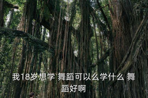 我18岁想学 舞蹈可以么学什么 舞蹈好啊