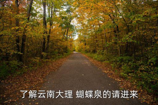变.队形舞蹈蝴蝶泉之恋,印度三塔庙有真蝴蝶倒挂树上