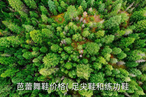 芭蕾舞鞋价格( 足尖鞋和练功鞋