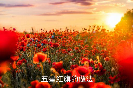 舞蹈五星红旗3,中华人民共和国国旗是五星红旗