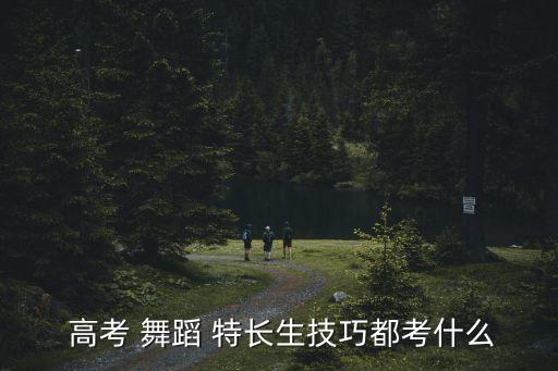 高考 舞蹈 特长生技巧都考什么