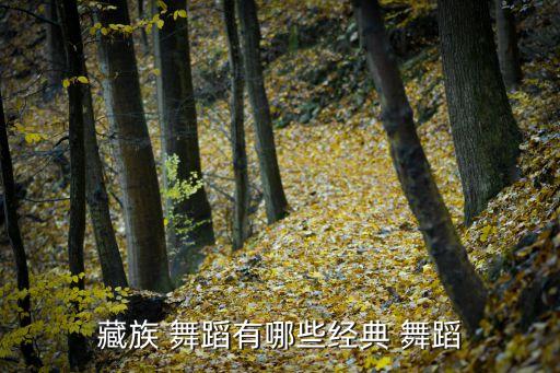 藏族 舞蹈有哪些经典 舞蹈