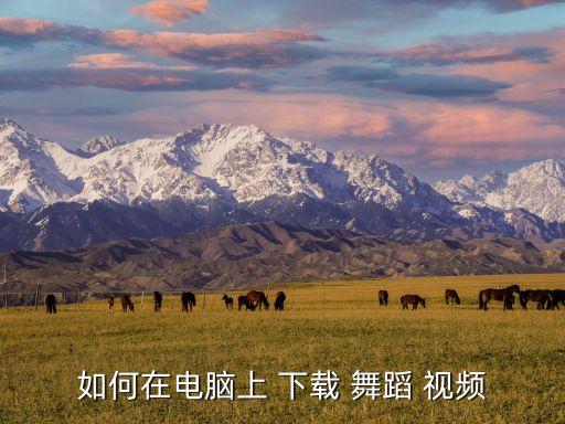如何在电脑上 下载 舞蹈 视频