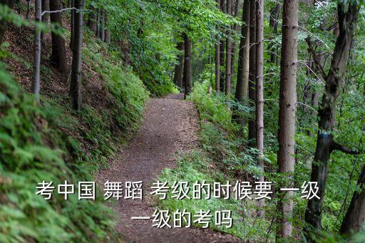 考中国 舞蹈 考级的时候要 一级 一级的考吗