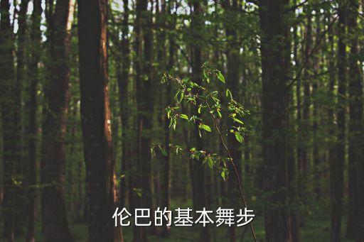 当你老了伦巴舞蹈视频,简易工作舞蹈教程（2）