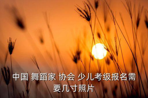 中国 舞蹈家 协会 少儿考级报名需要几寸照片