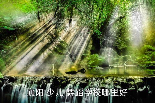 襄阳 少儿 舞蹈学校哪里好