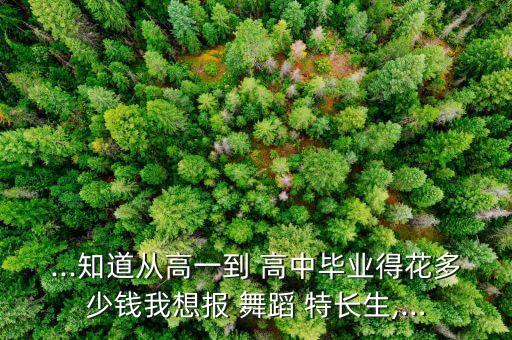 高中舞蹈特长花费多高,舞蹈美术专科学院招生广播