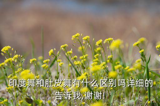  印度舞和肚皮舞有什么区别吗详细的告诉我,谢谢!