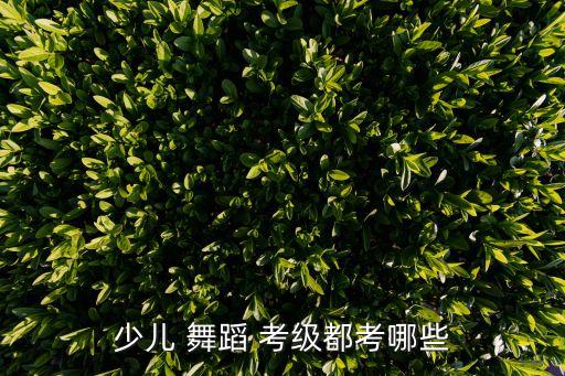 儿童舞蹈考级考些什么,中国舞蹈学院考级须知