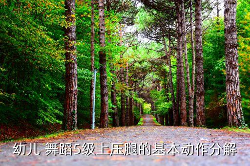 幼儿 舞蹈5级上压腿的基本动作分解