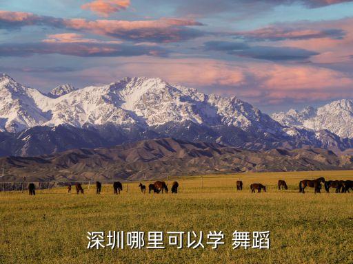  深圳哪里可以学 舞蹈
