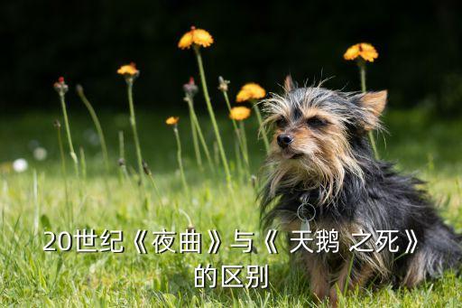 天鹅之死舞蹈赏析,天鹅之死象征着人类对生命的渴望