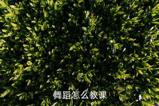 舞蹈班第一节课教什么意思,第一节舞蹈课教什么?
