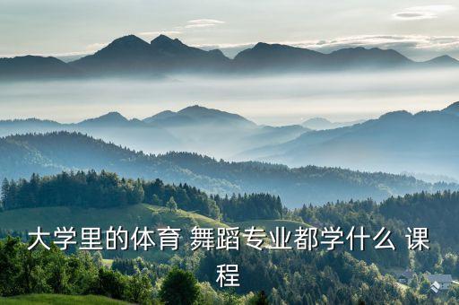舞蹈系课程,星海音乐学院舞蹈系部有以下三个分类