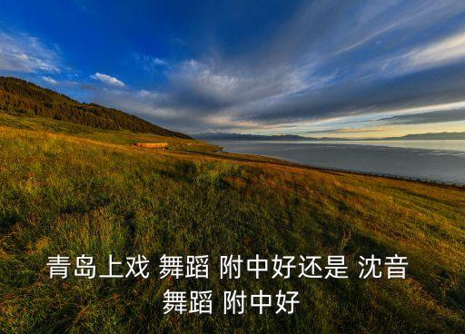 青岛上戏 舞蹈 附中好还是 沈音 舞蹈 附中好