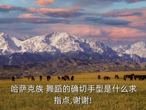 哈萨克民族舞蹈教学视频,第一集:哈萨克民谣舞蹈