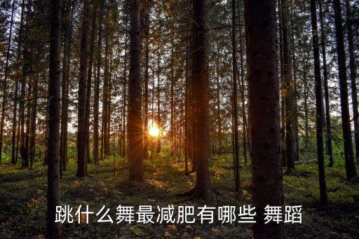 瘦身舞蹈教学分解动作,简单女生现代舞舞蹈-2/视频教学