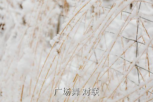 广场舞 对联